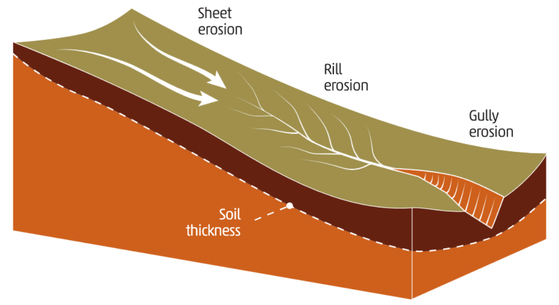 Diagramma schematico dei principali processi di erosione idrica. FONTE: FAO. 2019. Soil erosion: the greatest challenge for sustainable soil management. Rome. https://openknowledge.fao.org/server/api/core/bitstreams/a268e967-a373-4a56-adac-ae1d7ab3567f/conte