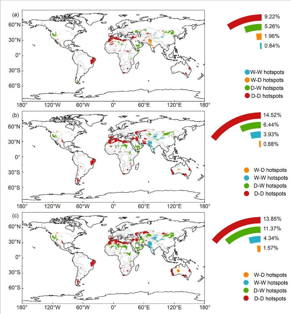 Transizioni e persistenza degli hotspot di variazione dell'aridità nelle aree aride globali. Distribuzione spaziale delle variazioni negli hotspot di inaridimento e di aumento dell'umidità dal periodo storico (1960–2023) al periodo futuro (2021–2100) negli scenari SSP126 (a), SSP245 (b) e SSP585 (c). Le sigle D–D e W–W indicano hotspot persistenti, rispettivamente di inaridimento e di aumento dell'umidità; D–W e W–D indicano la transizione, rispettivamente, da hotspot di inaridimento a hotspot di aumento dell'umidità e viceversa. Le percentuali sono espresse in relazione all'estensione delle aree aride nel periodo di riferimento 1994–2023. FONTE: Cai et al., Environmental Research Letters, 2026.