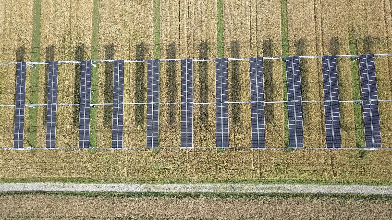 Nella costruzione di sistemi agrivoltaici, percorsi prestabiliti per i mezzi, protezioni temporanee del terreno e lavori in condizioni asciutte possono aiutare a tutelare il suolo. Foto: Tobi Kellner CC BY-SA 4.0