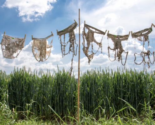 L'Underpants Index usa mutande di cotone interrate nei suoli per misurarne la vitalità microbica. FOTO: Gabriela Braendle/Agroscope