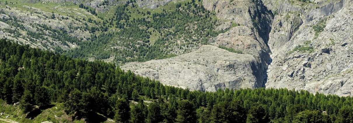 A study of high-altitude forests in Switzerland highlights the diminishing advantage of elevation in drought resilience and outlines how to strengthen the landscape’s natural defences. Photo: Hans Hillewaert, CC BY-SA 4.0