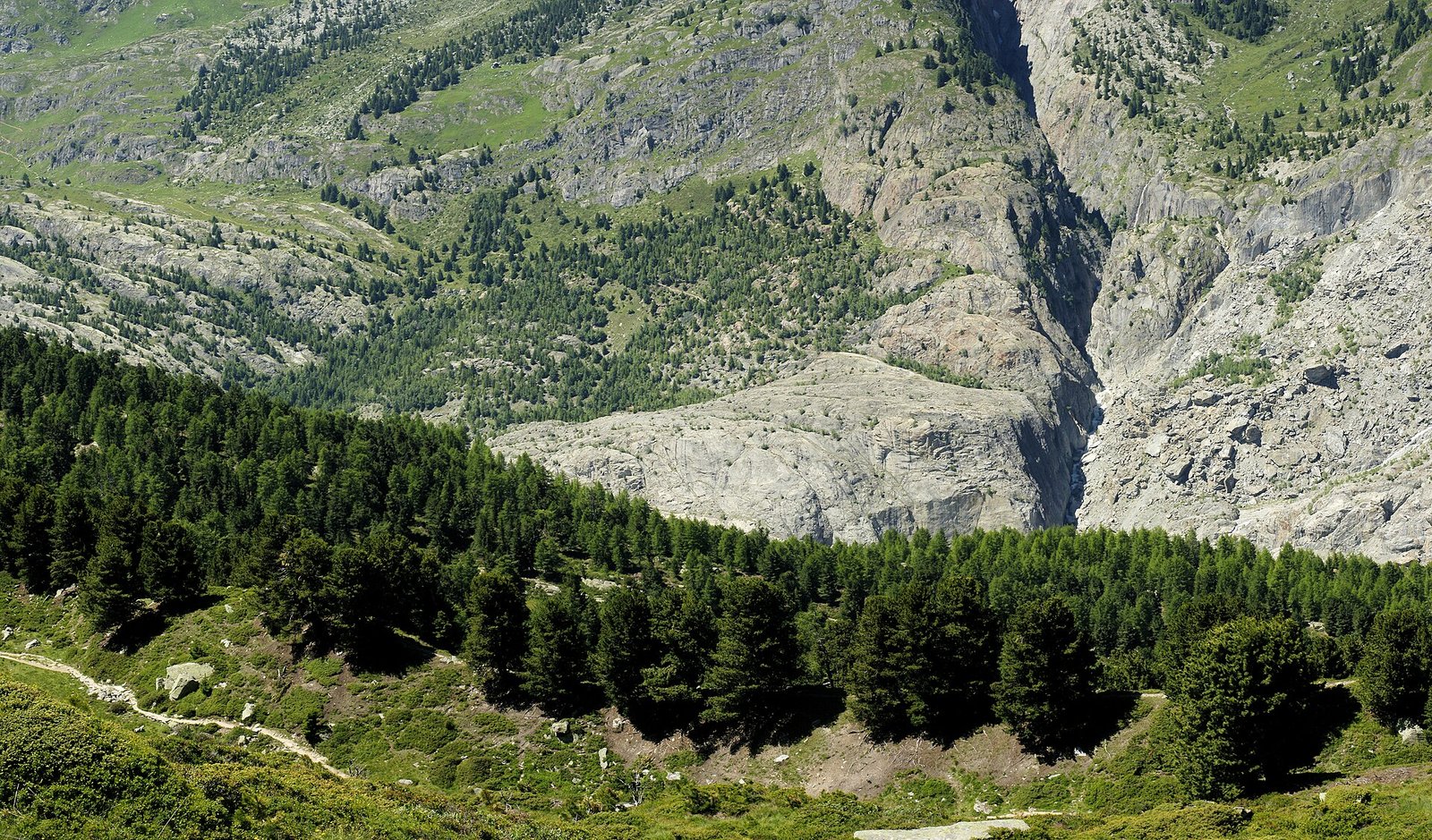 Uno studio sulle foreste d’alta quota in Svizzera evidenzia la perdita del vantaggio dell’altitudine nella resilienza e indica come rafforzare la difesa naturale del territorio. Foto: Hans Hillewaert CC BY-SA 4.0