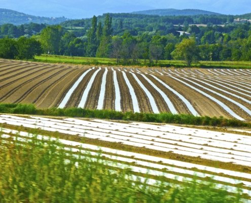 Repurposing agricultural waste by transforming it into biopolymers and other biomaterials for use in farming is a viable solution to counter the excessive use of conventional plastics in agricultural soils. PHOTO: Siggy Nowak from Pixabay